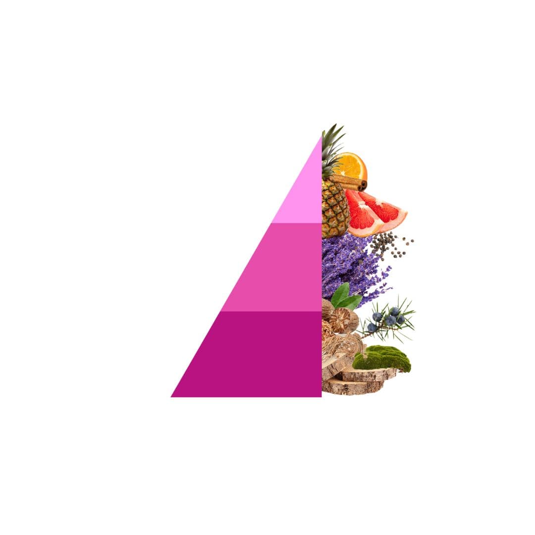 Geurstokjes Aromatic Freshness