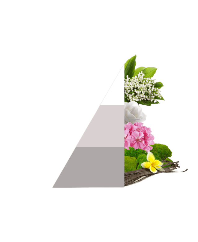 Horomia roomspray Bifase White