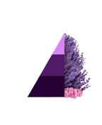 Geschenkset Aromatic Lavender