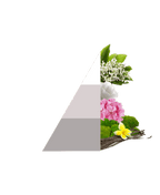 Horomia Wasparfum White