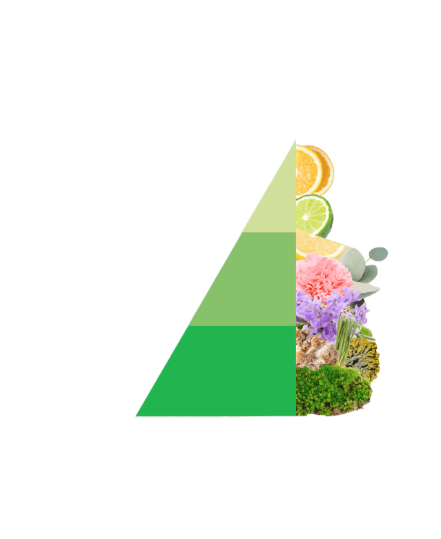 Horomia wasparfum Odour off