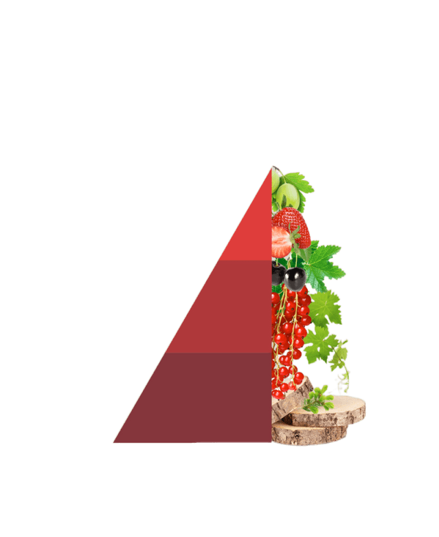 Roomspray Vigneto rosso
