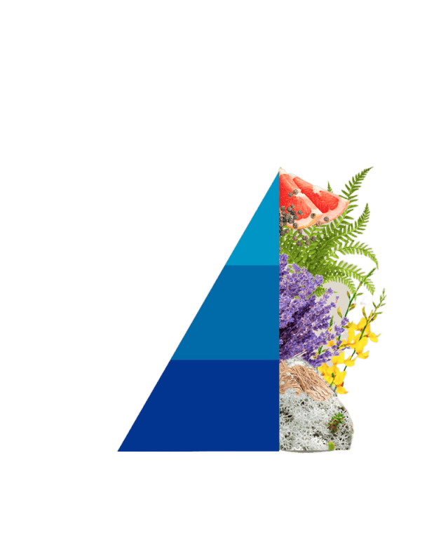 Geurkaars Fiori Blu